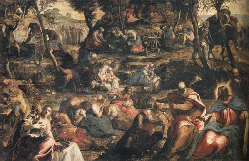 Jacopo Tintoretto Gathering of Manna oil painting image